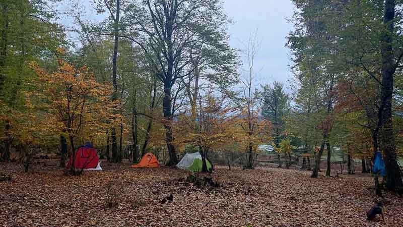 پارک جنگلی جوربند از جاهای دیدنی چمستان