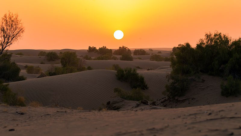 جاهای دیدنی کویر مصر