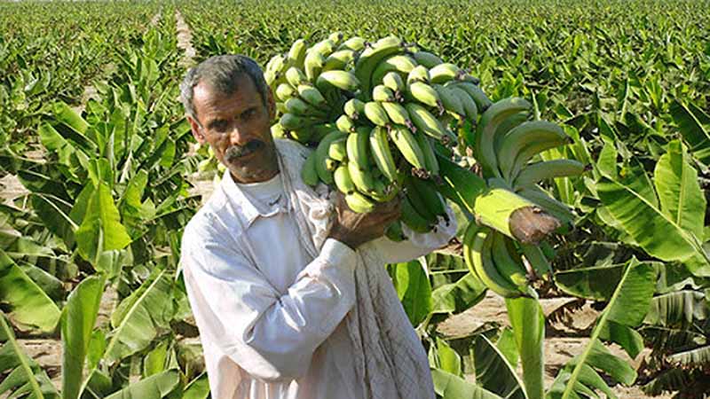 روستای شیرگواز از جاهای دیدنی چابهار