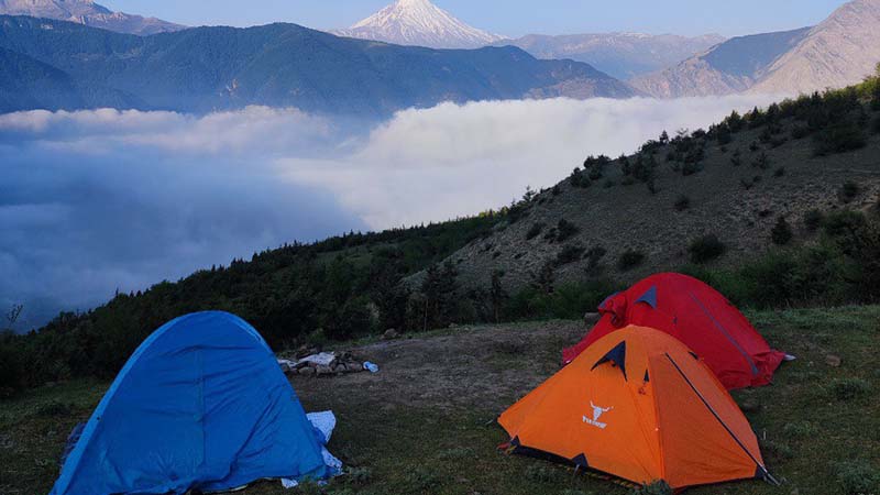 جنگل الیمستان از جاهای دیدنی آمل