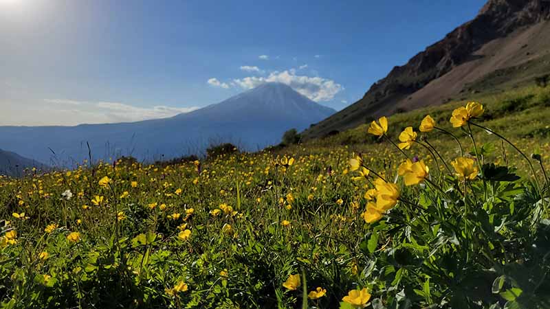 دشت آزو از جاهای دیدنی آمل