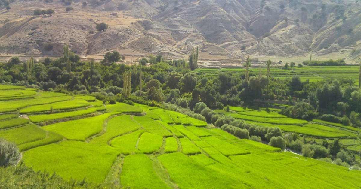 باغملک از جاهای دیدنی خوزستان