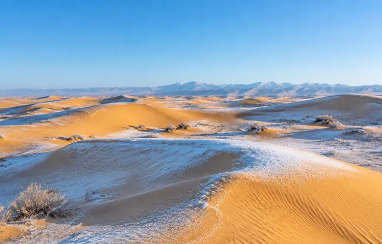 کویر در فصل زمستان
