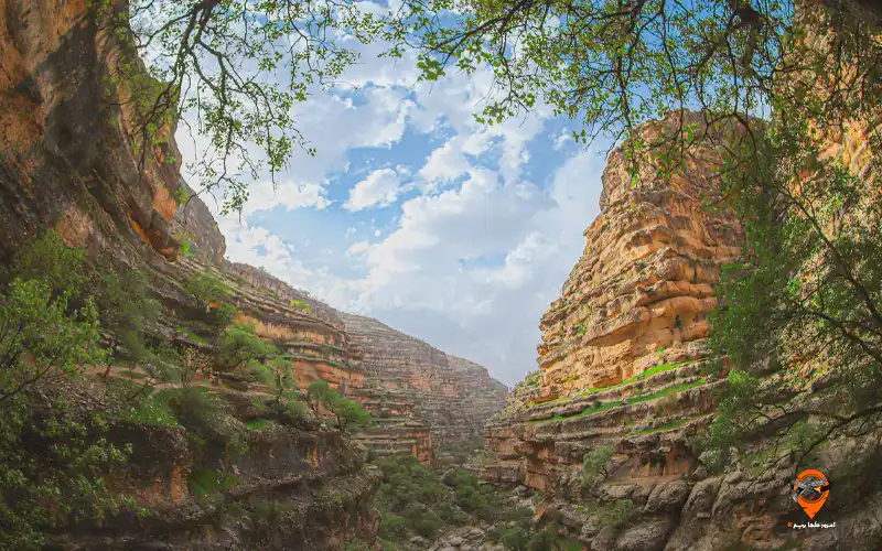 تنگه شیرز