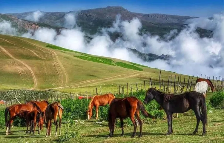 جاذبه های اطراف ییلاق سوباتان