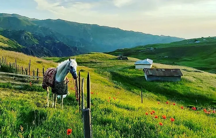 مسیر دسترسی به اسپی دشت