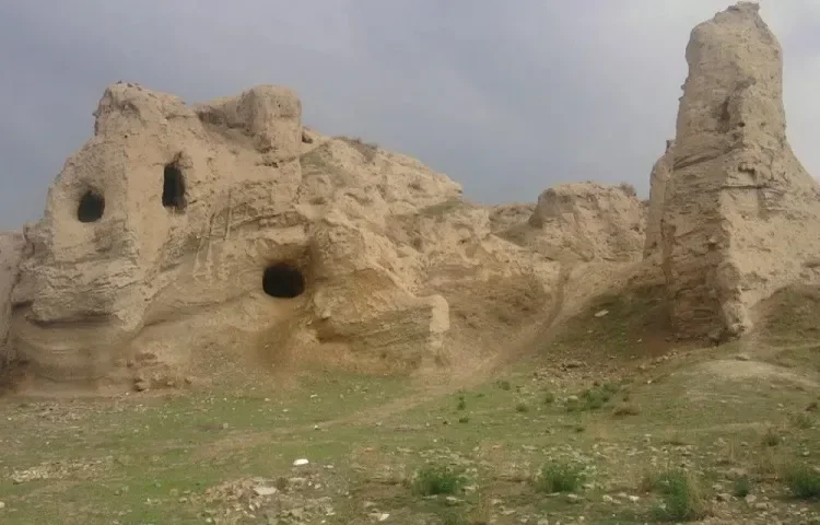 قلعه تاریخی