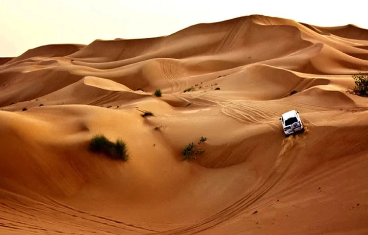 سافاری در کویر مرنجاب