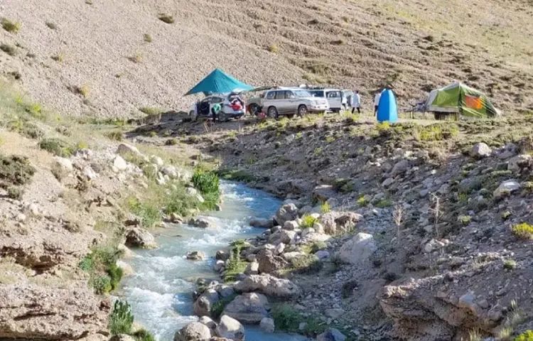 سافاری در ایران