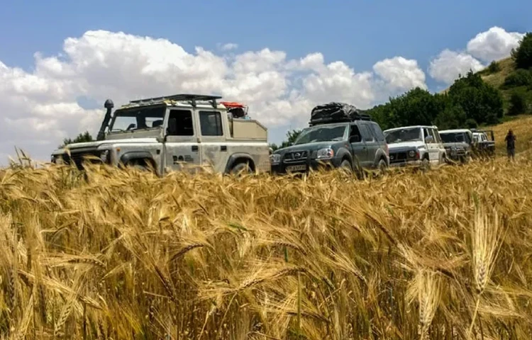سافاری حیات وحش