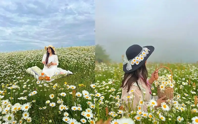 تور اربیل