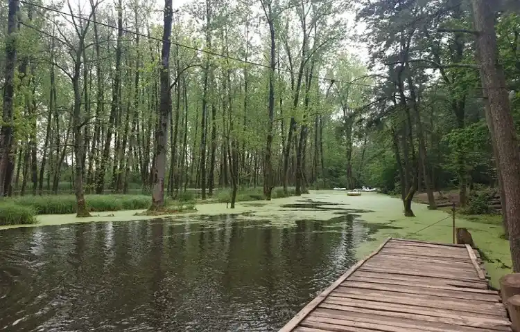 مرداب سراوان