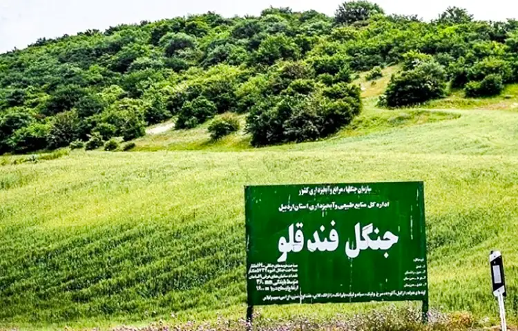 کمپینگ در جنگل فندقلو
