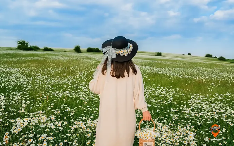 تور اردبیل