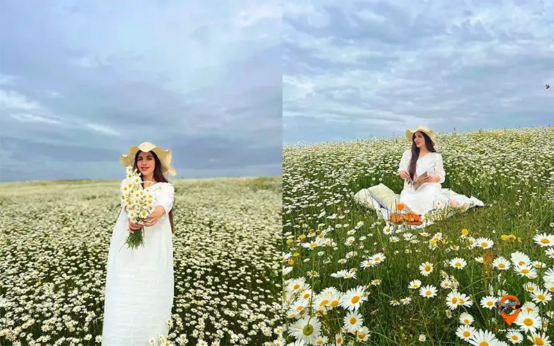 تور اردبیل