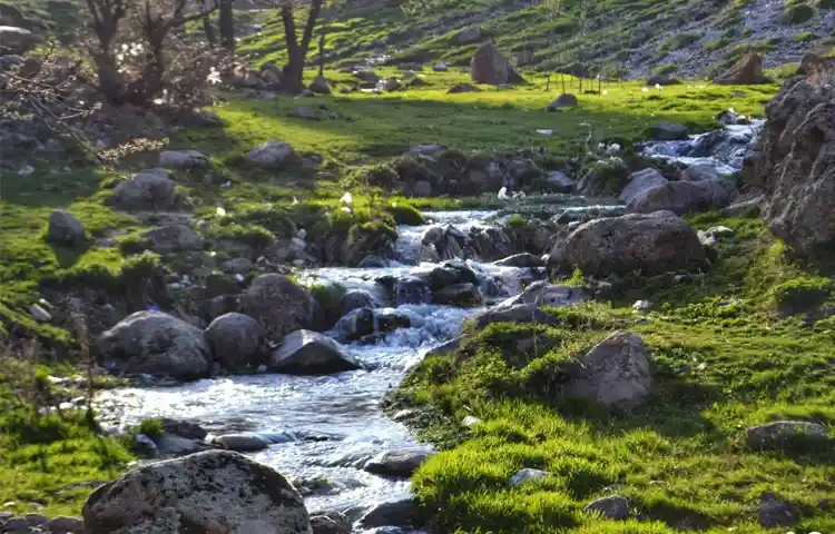 ویلا دره