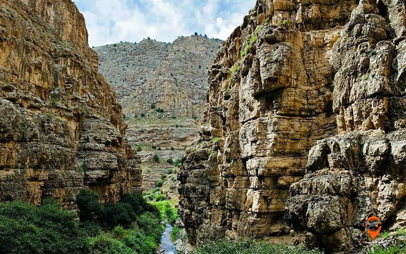 شمخال
