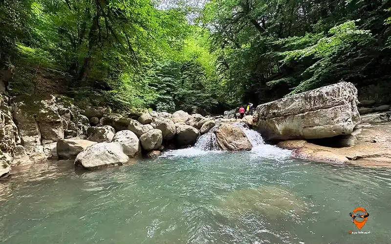 تنگه دار