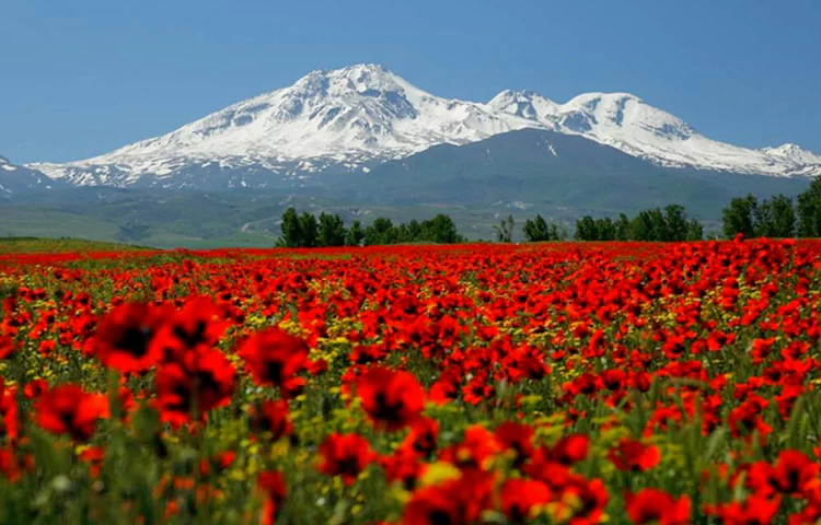 دامنه های سبلان