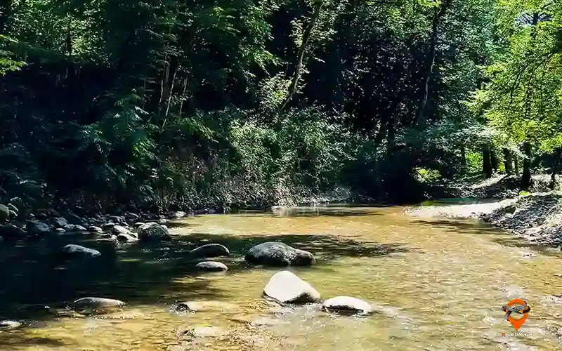 پلنگ دره
