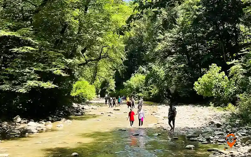 پلنگ دره