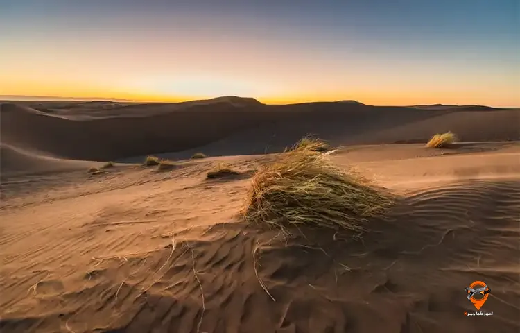 تور کویر رضا اباد