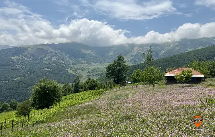 تور خلخال به اسالم