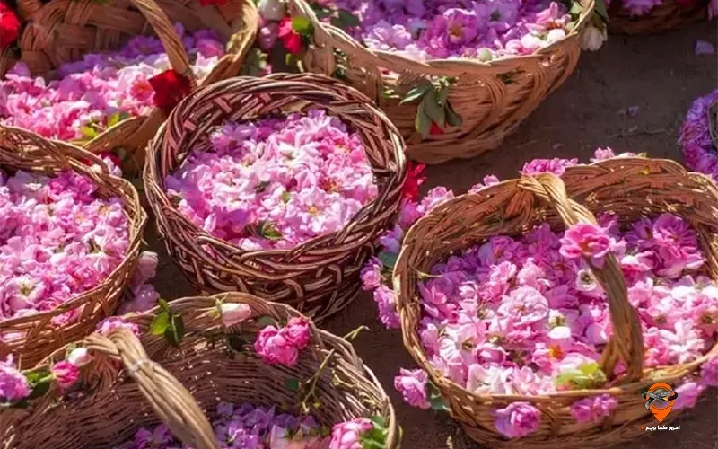 تور کاشان