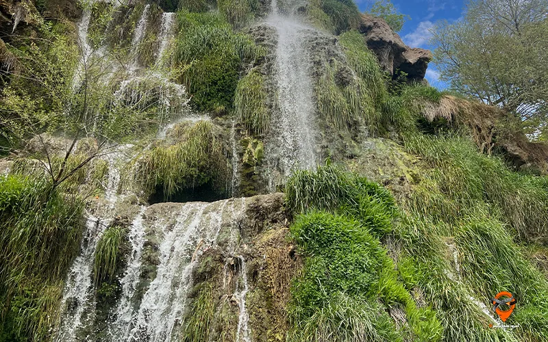 تور کاشان