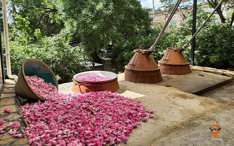 تور کاشان