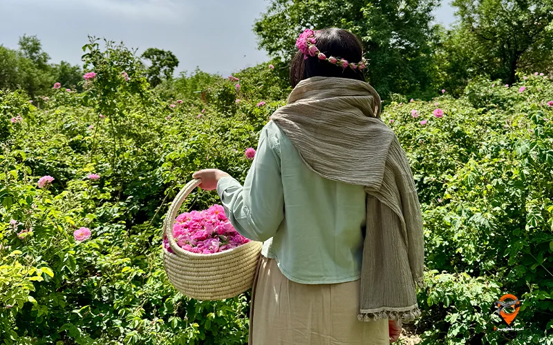 تور کاشان