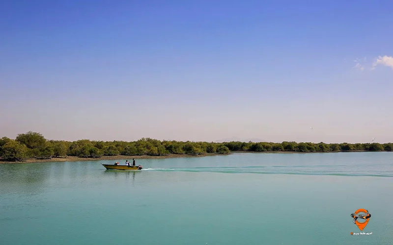 تور قشم