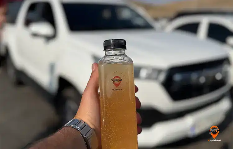 برنامه تور