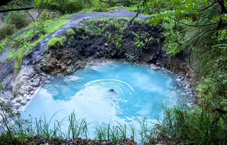 جنگل بلیران