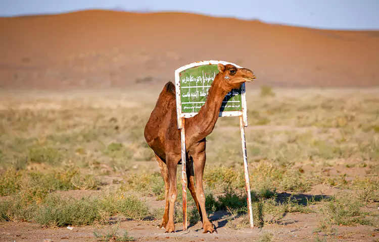 کویر مرنجاب