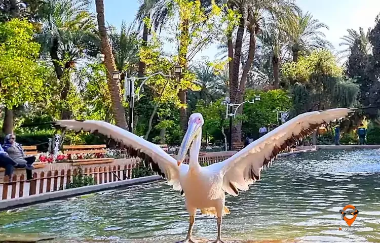 باغ گلشن طبس