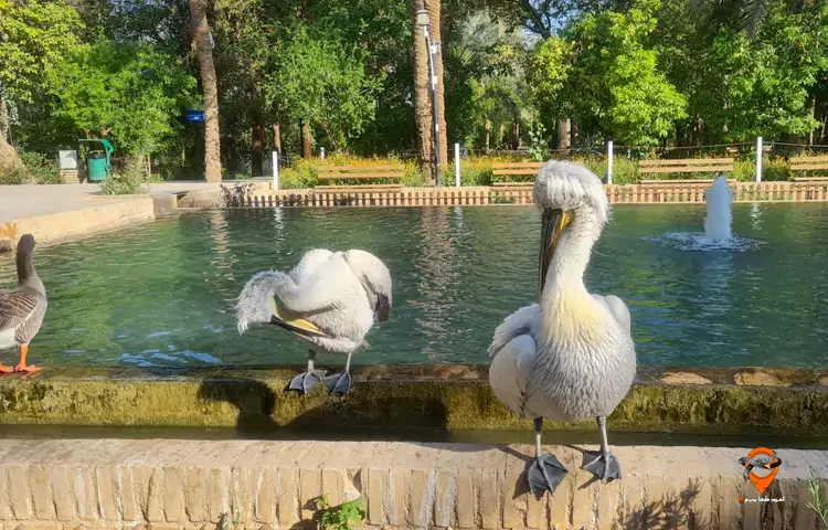 باغ گلشن طبس