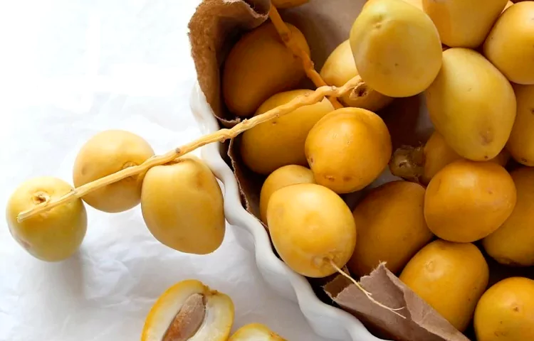 سوغات بوشهر