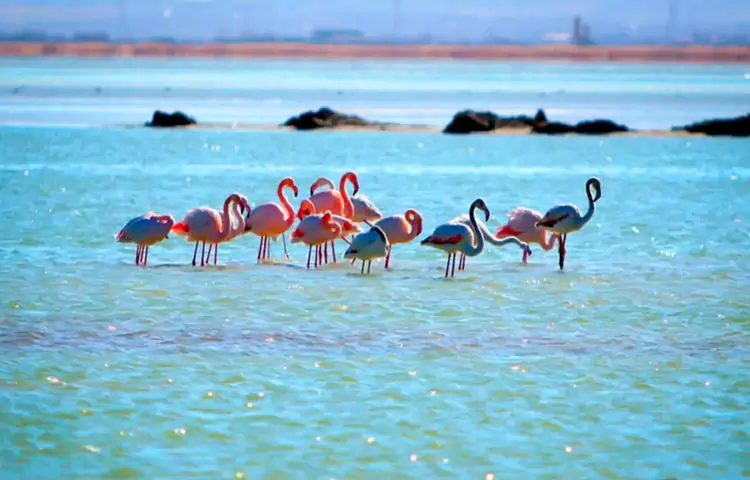 دریاچه صورتی چابهار