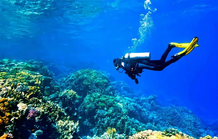 تفریحات قشم