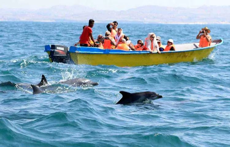 تفریحات قشم