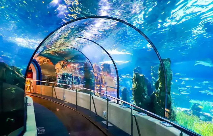 تفریحات قشم