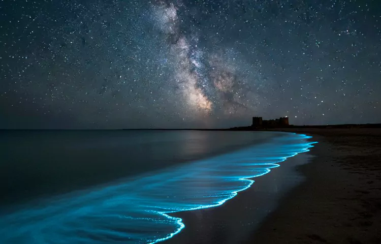 بهترین جاهای دیدنی قشم در شب