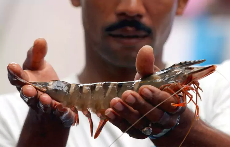 سوغات چابهار