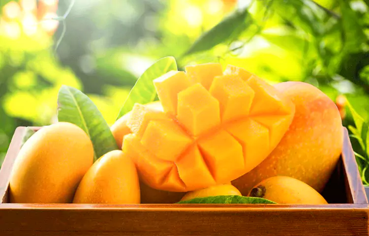 سوغات چابهار