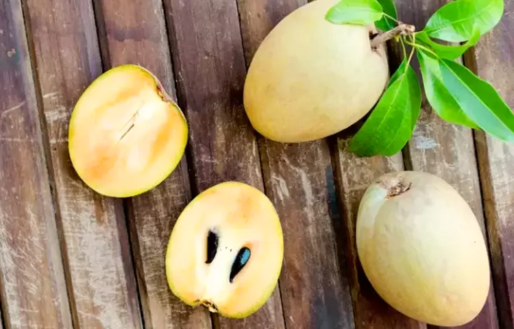 سوغات چابهار