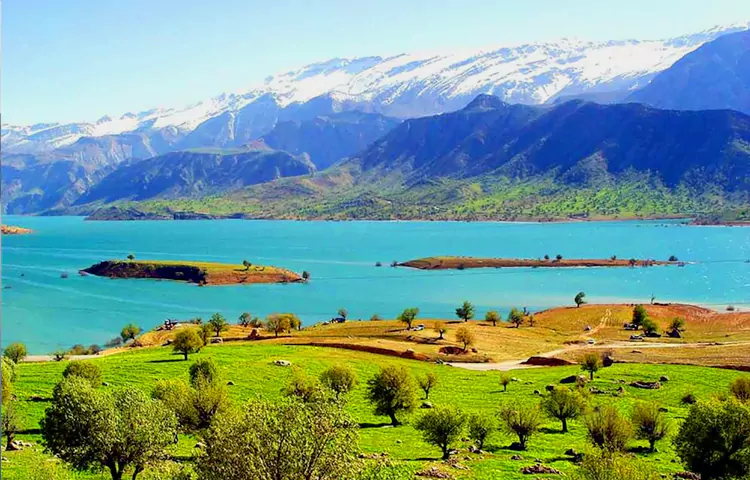 جزیره شهیون