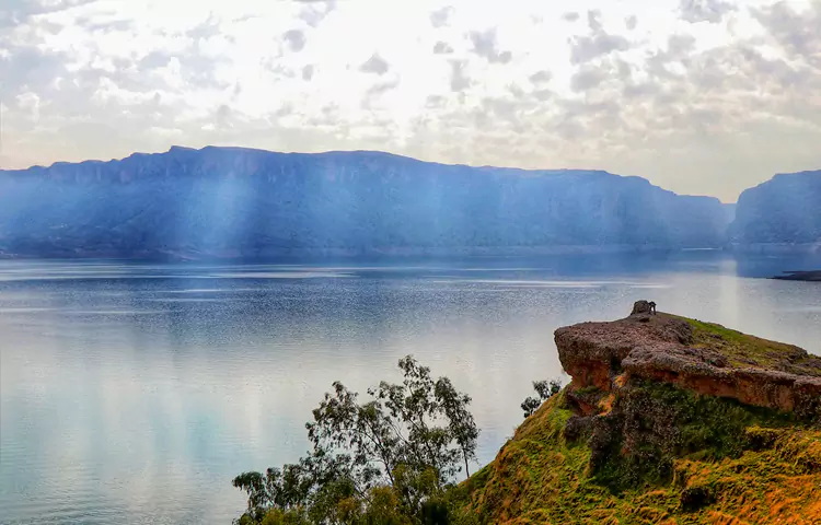 جزیره شهیون