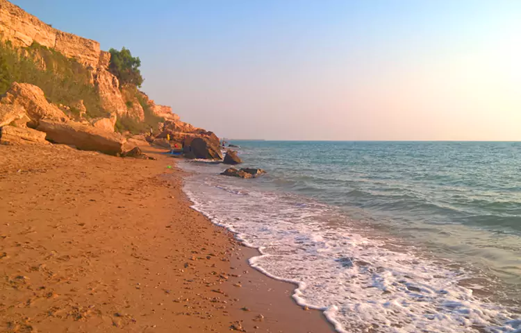 سواحل بوشهر