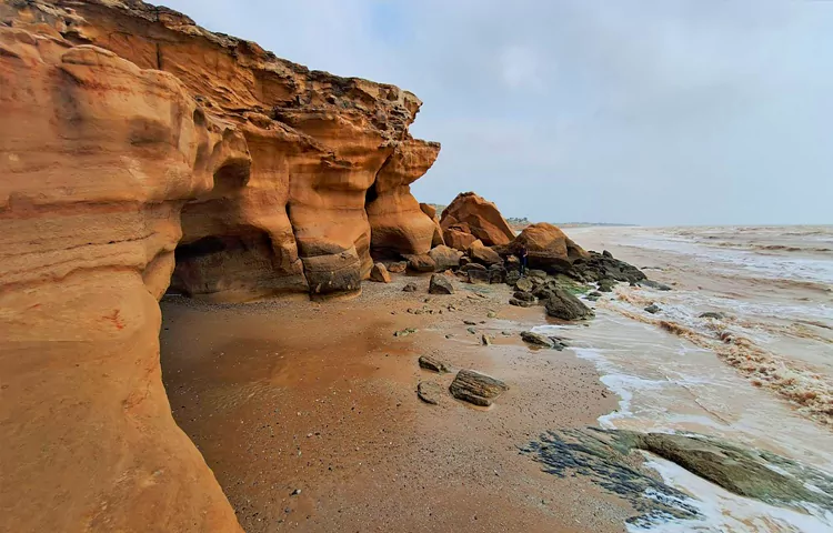 سواحل بوشهر